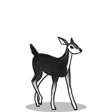 在哪充值安全的{固定网站名称23}