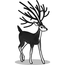 怎么去攻击一个网站与防护